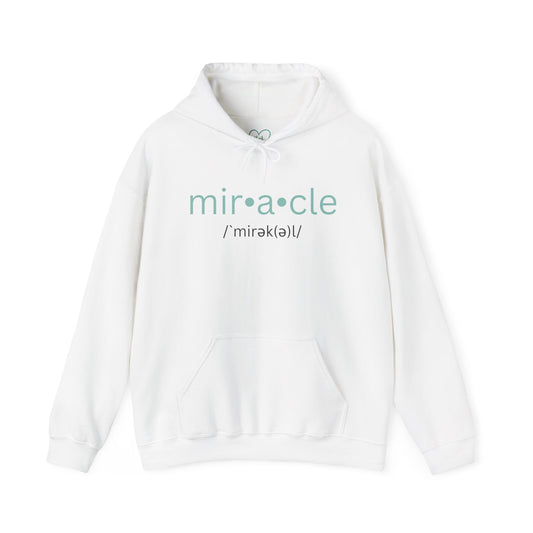 Biblical Miracles Hoodie