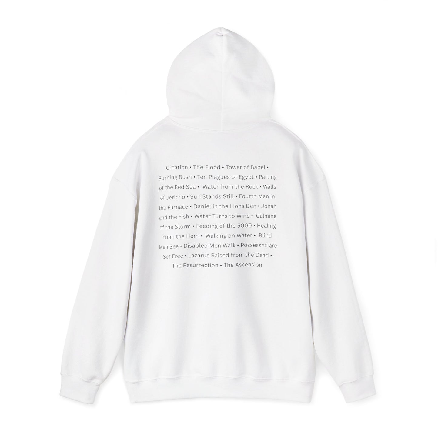 Biblical Miracles Hoodie