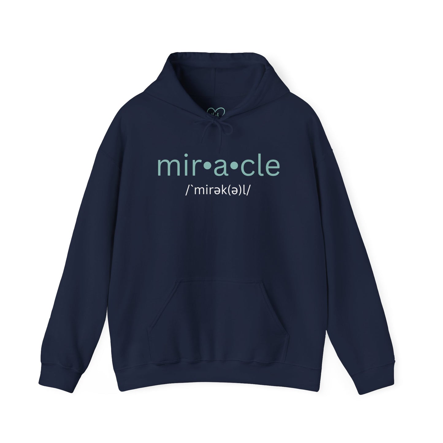 Biblical Miracles Hoodie