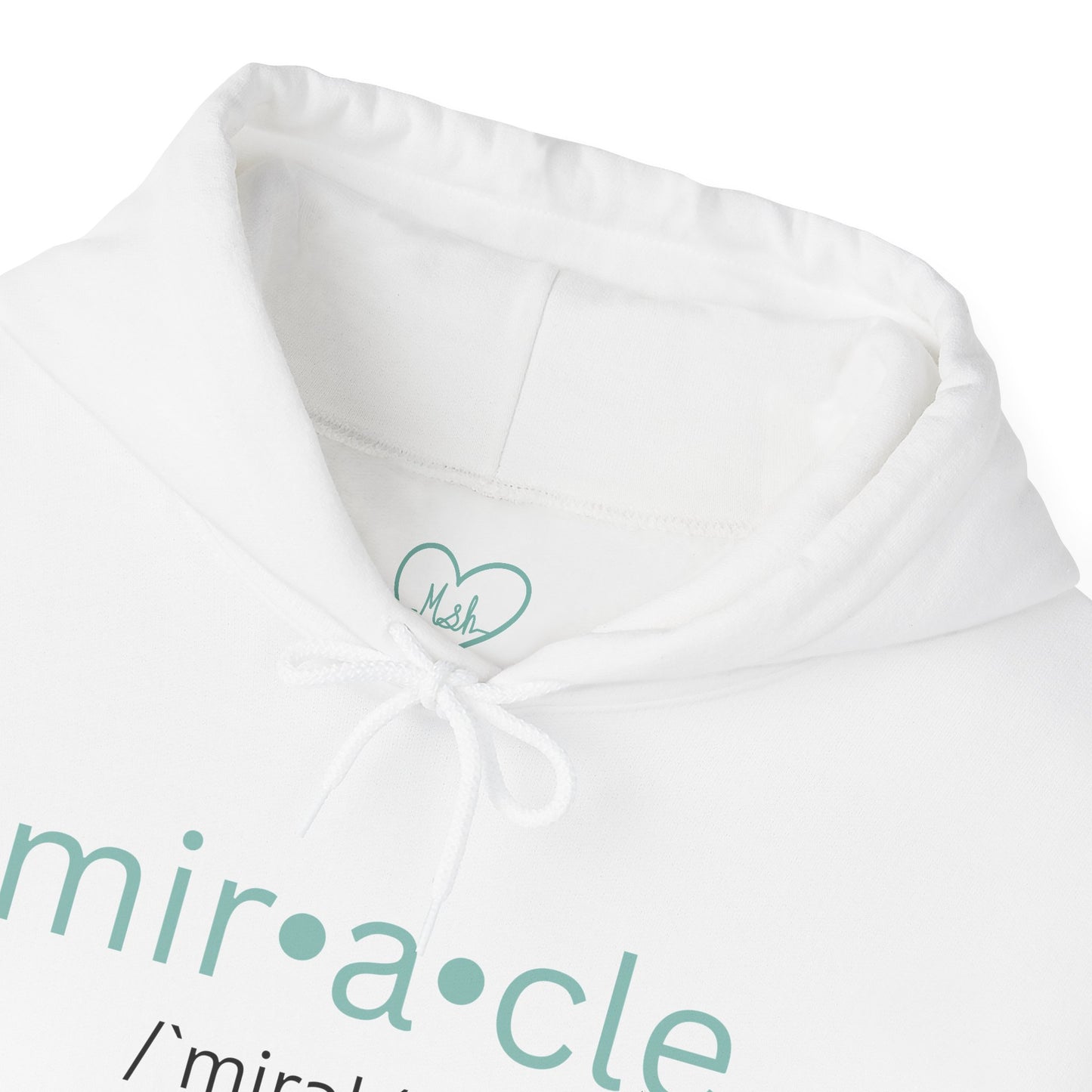 Biblical Miracles Hoodie