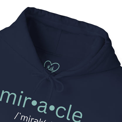 Biblical Miracles Hoodie