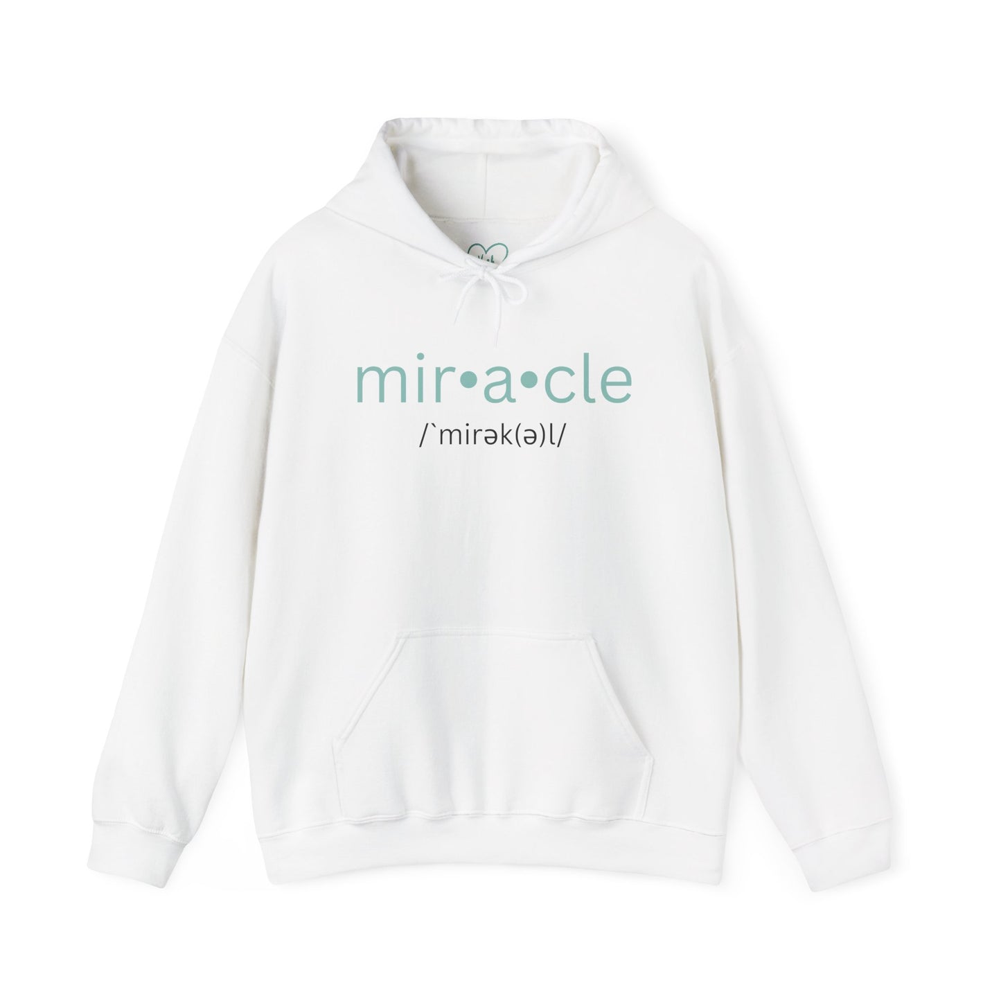 Biblical Miracles Hoodie