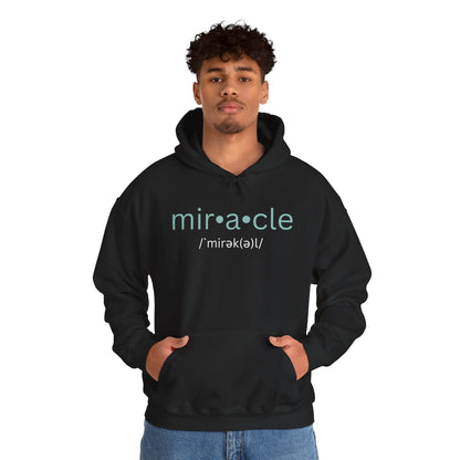 Biblical Miracles Hoodie