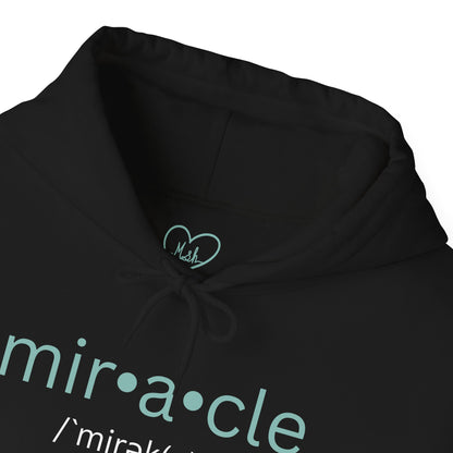 Biblical Miracles Hoodie