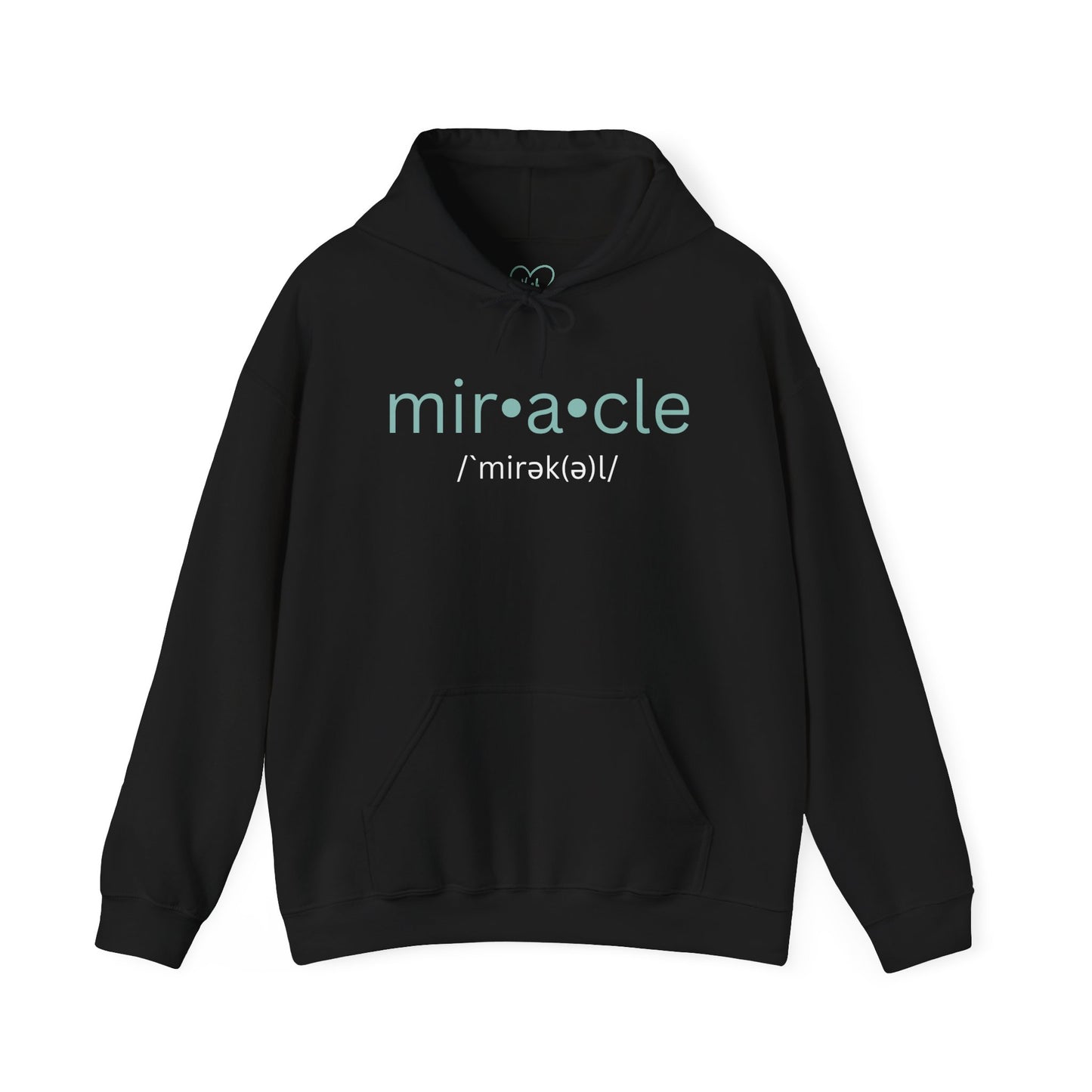 Biblical Miracles Hoodie