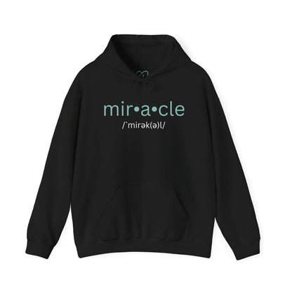 Biblical Miracles Hoodie